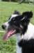 charlie6monthsold31_small.jpg