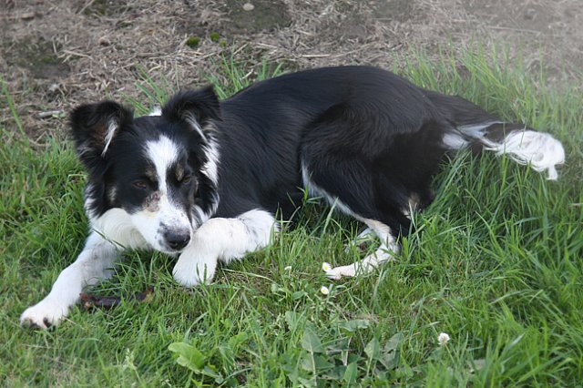 charlie6monthsold32.jpg