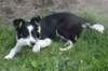 charlie6monthsold32_small.jpg