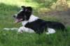 charlie6monthsold34_small.jpg