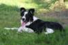 charlie6monthsold35_small.jpg