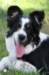 charlie6monthsold36_small.jpg