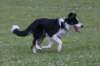 charlie6monthsold6_small.jpg