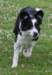 charlie6monthsold9_small.jpg