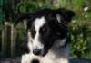 charlie6monthsold_small.jpg