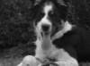 happy45monthsold_small.jpg