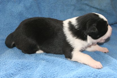 iamhappy12daysold3.jpg