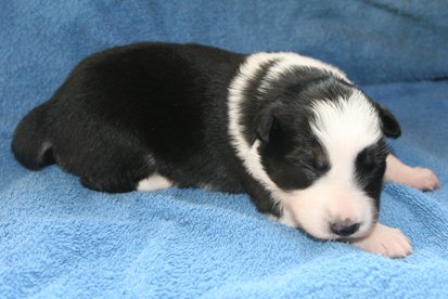 iamhappy12daysold4.jpg
