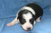 iamhappy12daysold_small.jpg