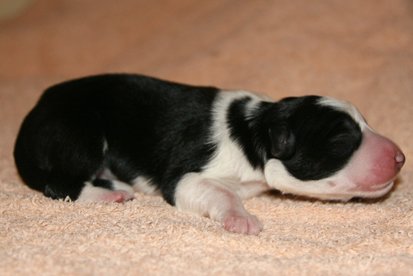 iamhappy1dayold.jpg