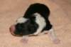 iamhappy1dayold2_small.jpg