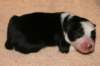 iamhappy1dayold3_small.jpg