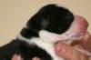iamhappy1dayold4_small.jpg