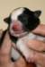 iamhappy1dayold5_small.jpg