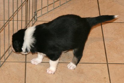 iamhappy25daysold.jpg