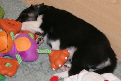 iamhappy25daysold2.jpg