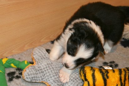 iamhappy27daysold2.jpg