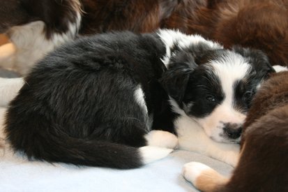 iamhappy40daysold.jpg