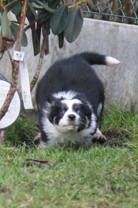 iamhappy48daysold.jpg