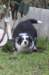 iamhappy48daysold_small.jpg
