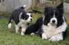iamhappy48daysoldwithtess_small.jpg