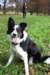 iamhappycharlie10monthsold_small.jpg