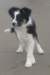 iamhappycharlie3monthsold2_small.jpg