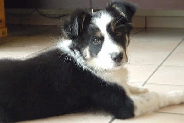 iamhappycharlie3monthsold3.jpg