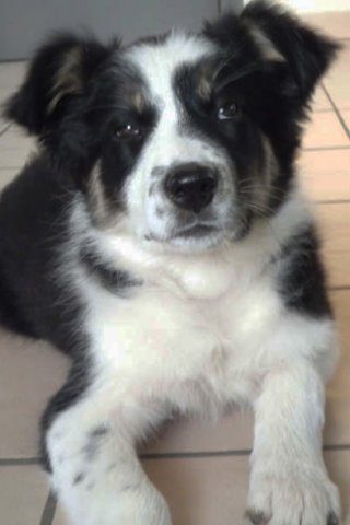 iamhappycharlie3monthsold4.jpg