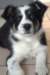 iamhappycharlie3monthsold4_small.jpg