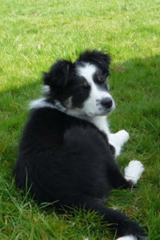 iamhappycharlie3monthsold5.jpg