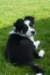 iamhappycharlie3monthsold5_small.jpg
