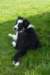 iamhappycharlie3monthsold6_small.jpg