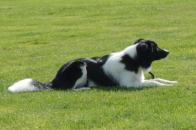 ilikeindy10monthsold3.jpg