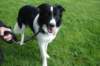 ilikeindy10monthsold_small.jpg