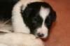 ilikeindy17daysold_small.jpg