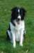 ilikeindy1year9monthsold2_small.jpg