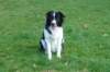 ilikeindy1year9monthsold_small.jpg