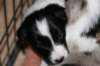 ilikeindy21daysold_small.jpg