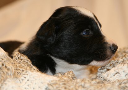 ilikeindy24daysold.jpg