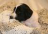 ilikeindy24daysold5_small.jpg