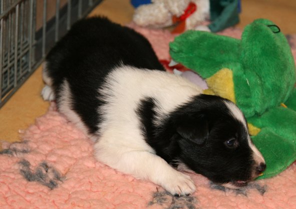 ilikeindy26daysold.jpg
