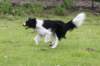 ilikeindy2years6monthsold2_small.jpg