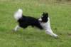 ilikeindy2years6monthsold8_small.jpg