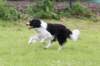 ilikeindy2years6monthsold_small.jpg