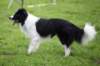 ilikeindy2years8monthsold_small.jpg