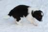 ilikeindy30daysold2_small.jpg