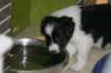ilikeindy33daysold_small.jpg