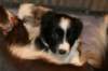 ilikeindy34daysold_small.jpg