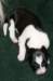 ilikeindy3daysold_small.jpg